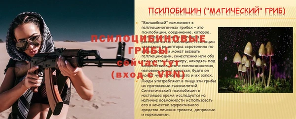 стафф Фёдоровский