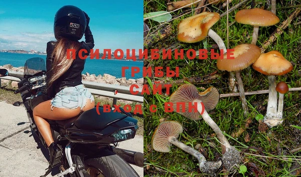 ALPHA-PVP Абинск