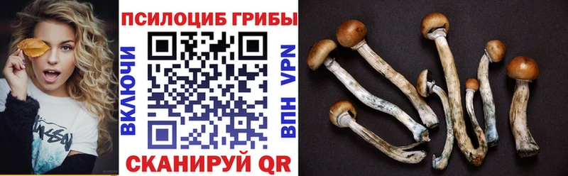 Псилоцибиновые грибы прущие грибы  Карабаново 